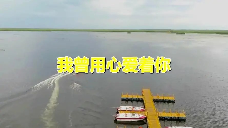 你是如此如此的冷漠是什么歌