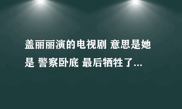 盖丽丽演的电视剧 意思是她是 警察卧底 最后牺牲了 电视剧的名字叫什么