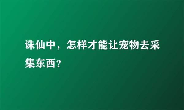 诛仙中，怎样才能让宠物去采集东西？