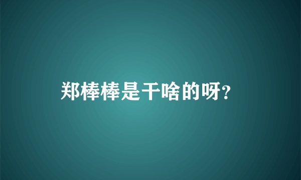 郑棒棒是干啥的呀？