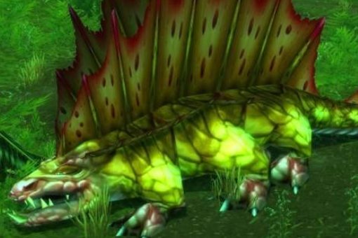 硬甲毛皮哪里出的多？