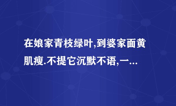在娘家青枝绿叶,到婆家面黄肌瘦.不提它沉默不语,一提它泪如雨下.打一物