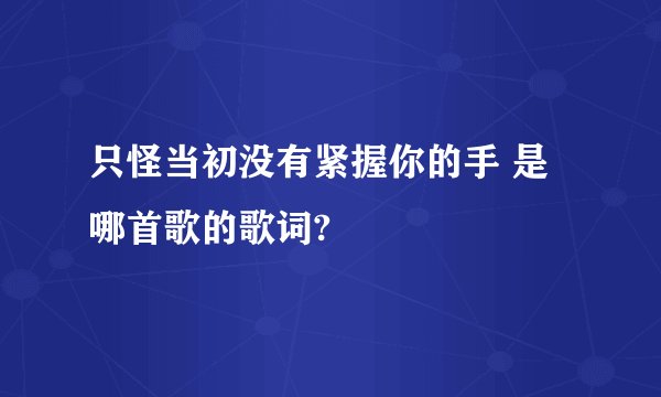 只怪当初没有紧握你的手 是哪首歌的歌词?