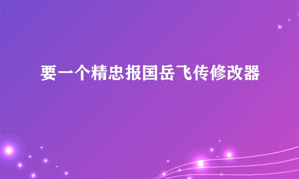 要一个精忠报国岳飞传修改器