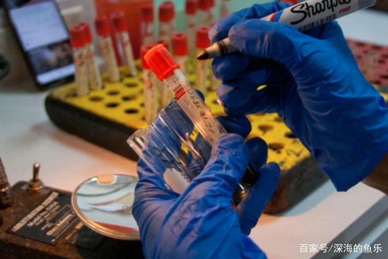 北京一家四口3人已确诊,同住一个屋檐下,为何有1人没被传染?