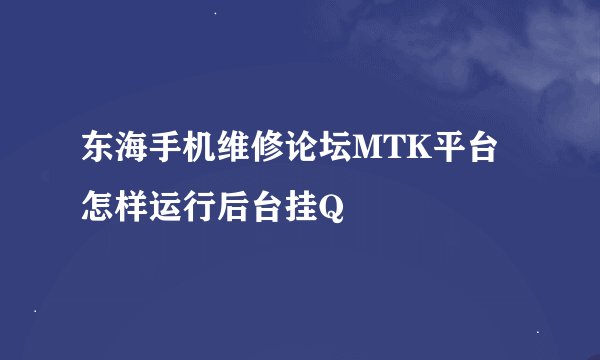 东海手机维修论坛MTK平台 怎样运行后台挂Q