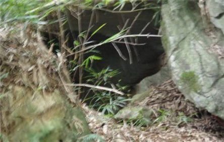 重庆鬼洞的图片里面有什么 内部尸骨之谜揭秘