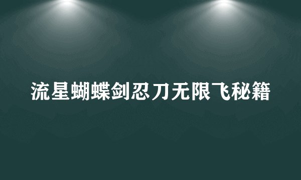 流星蝴蝶剑忍刀无限飞秘籍