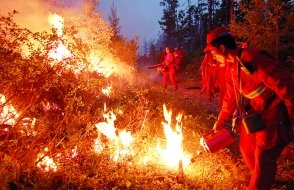 火攻火为什么会灭火?