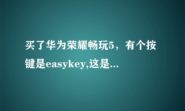 买了华为荣耀畅玩5，有个按键是easykey,这是什么用途，有哪位能帮忙解释