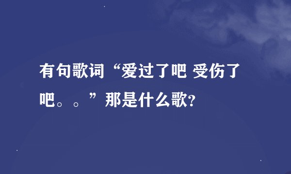 有句歌词“爱过了吧 受伤了吧。。”那是什么歌？
