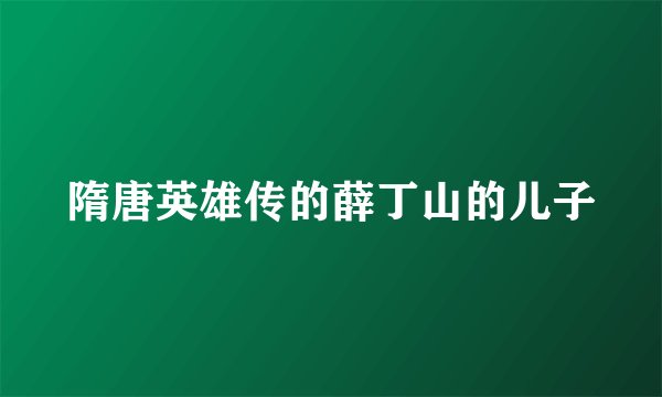 隋唐英雄传的薛丁山的儿子