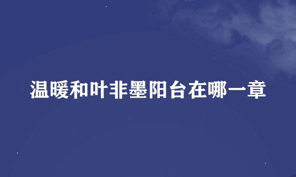 温暖和叶非墨阳台在哪一章
