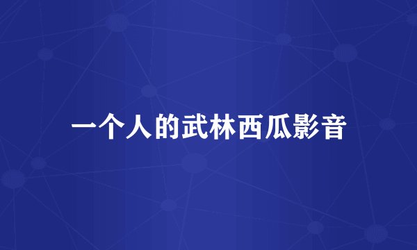 一个人的武林西瓜影音