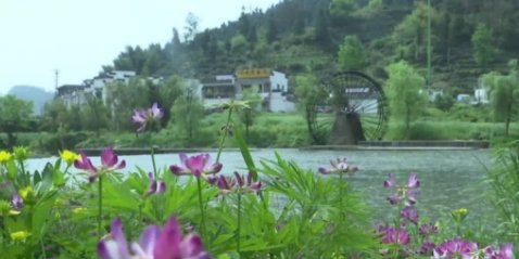 点面结合的句段