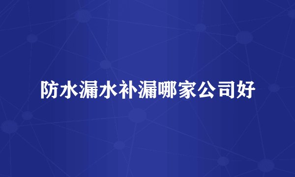防水漏水补漏哪家公司好