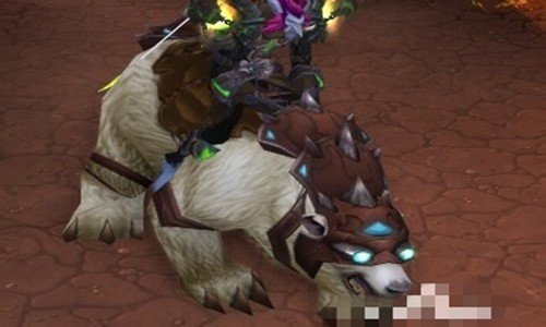 WOW白色的熊在哪捉!~