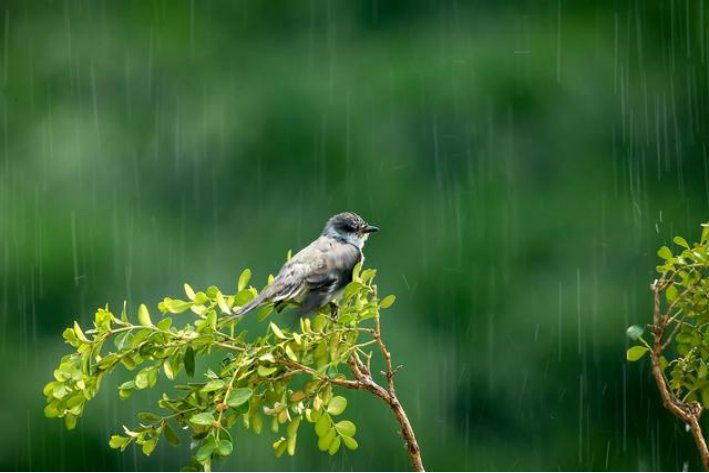 轰隆隆，天空响起了一阵雷声，怎么仿写句子？