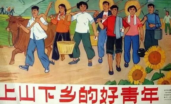 上山下乡是什么时候开始到什么时候结束