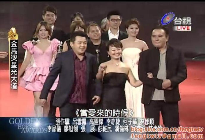 第41届台湾电影金马奖的介绍