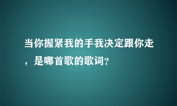 当你握紧我的手我决定跟你走，是哪首歌的歌词？
