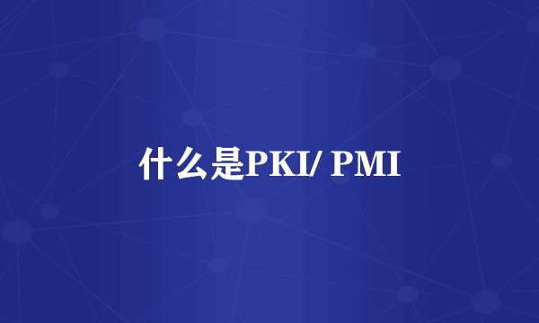 什么是PKI/ PMI