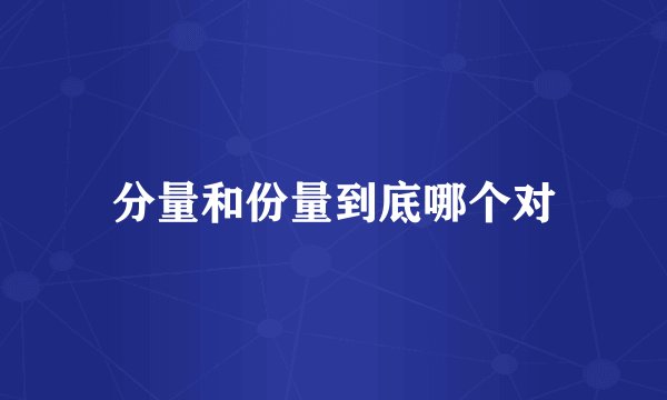 分量和份量到底哪个对