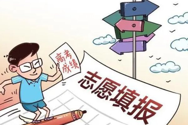 怎么报考志愿