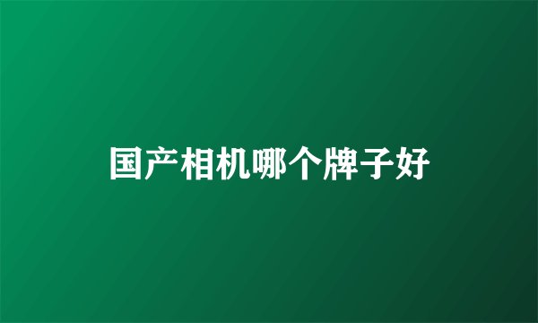 国产相机哪个牌子好