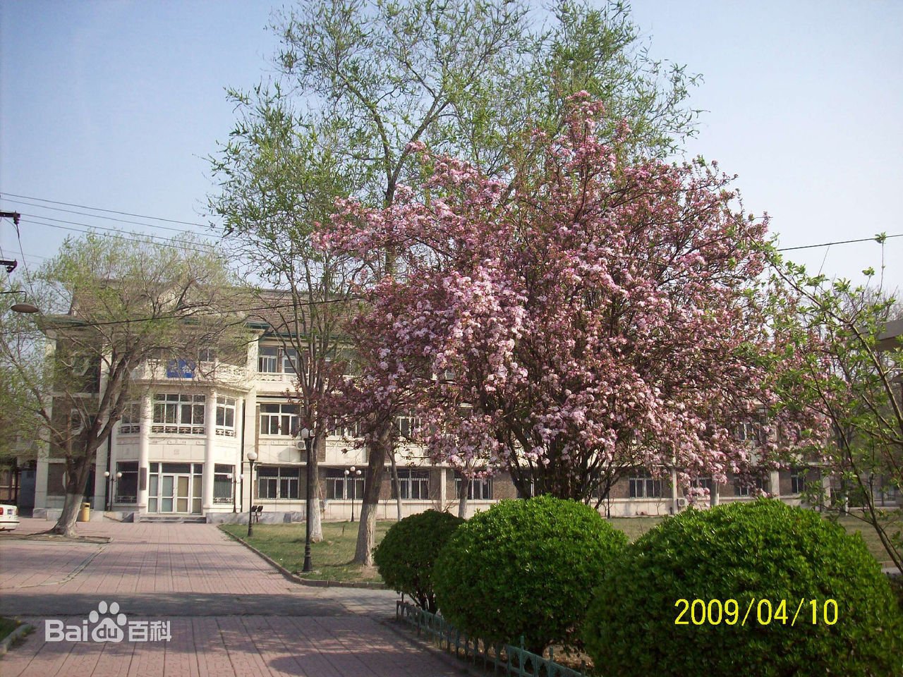 天津有什么好大专