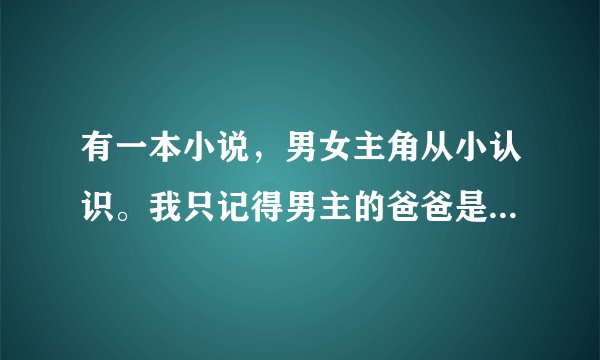 有一本小说，男女主角从小认识。我只记得男主的爸爸是历史教授，男主原本不喜欢女主，但长大后就喜欢了。