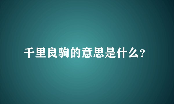 千里良驹的意思是什么？
