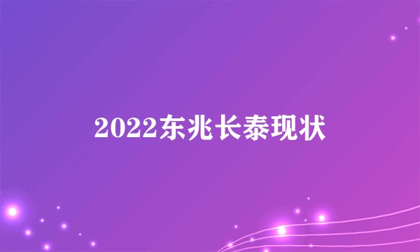 2022东兆长泰现状