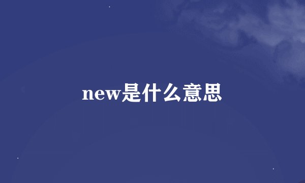new是什么意思