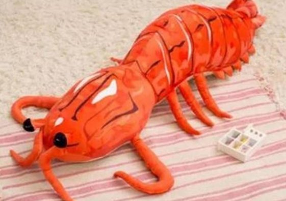 稀奇古怪好玩又实用的礼物