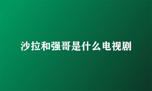 沙拉和强哥是什么电视剧