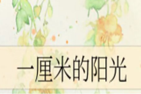 有没有好看的言情小说？