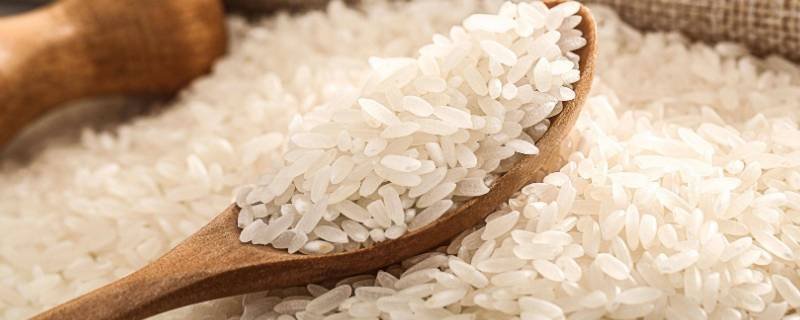 美国人吃大米吗