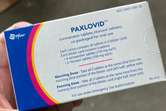 paxlovid中文叫什么