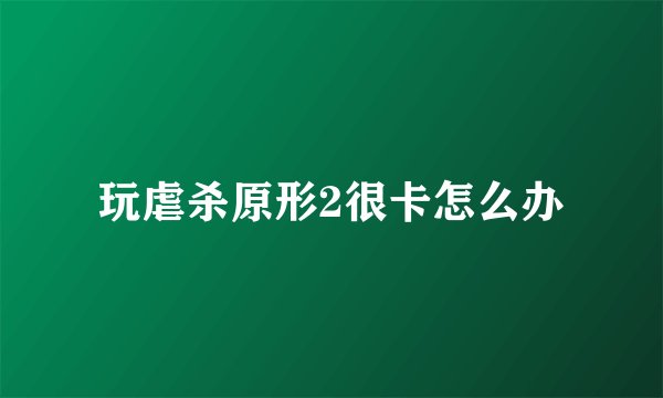 玩虐杀原形2很卡怎么办