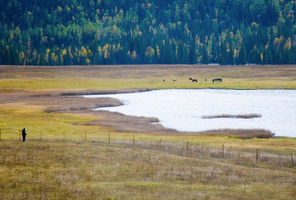 洼的拼音怎么读
