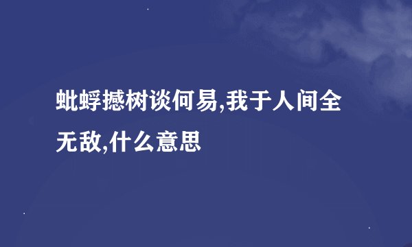 蚍蜉撼树谈何易,我于人间全无敌,什么意思