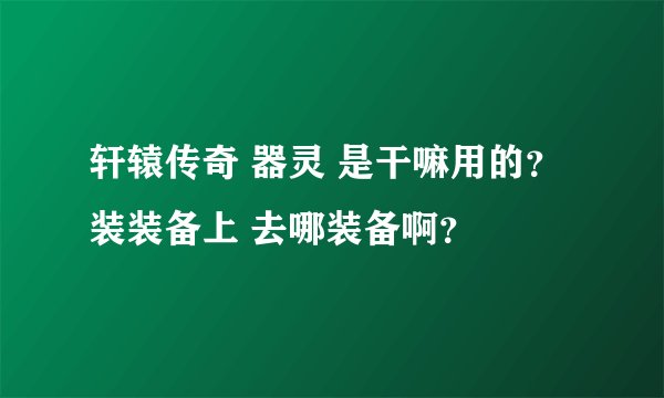轩辕传奇 器灵 是干嘛用的？ 装装备上 去哪装备啊？