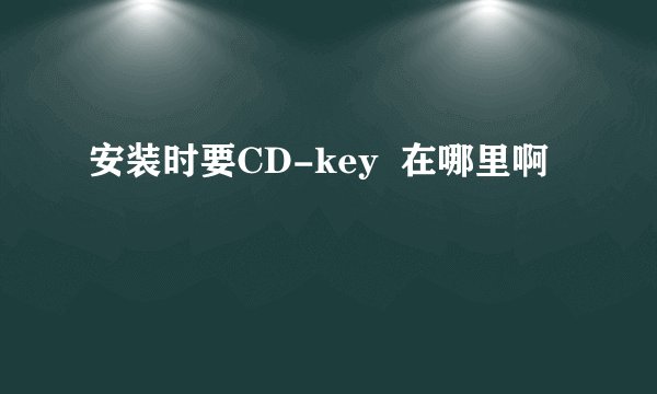 安装时要CD-key  在哪里啊