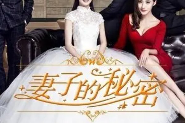 妻子的秘密林雅茹是谁？