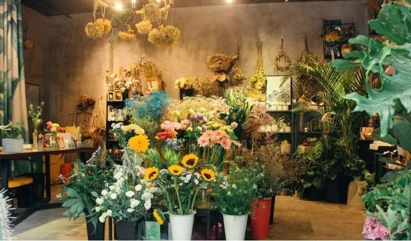 女主把花店开在鬼出没的入口处是什么小说