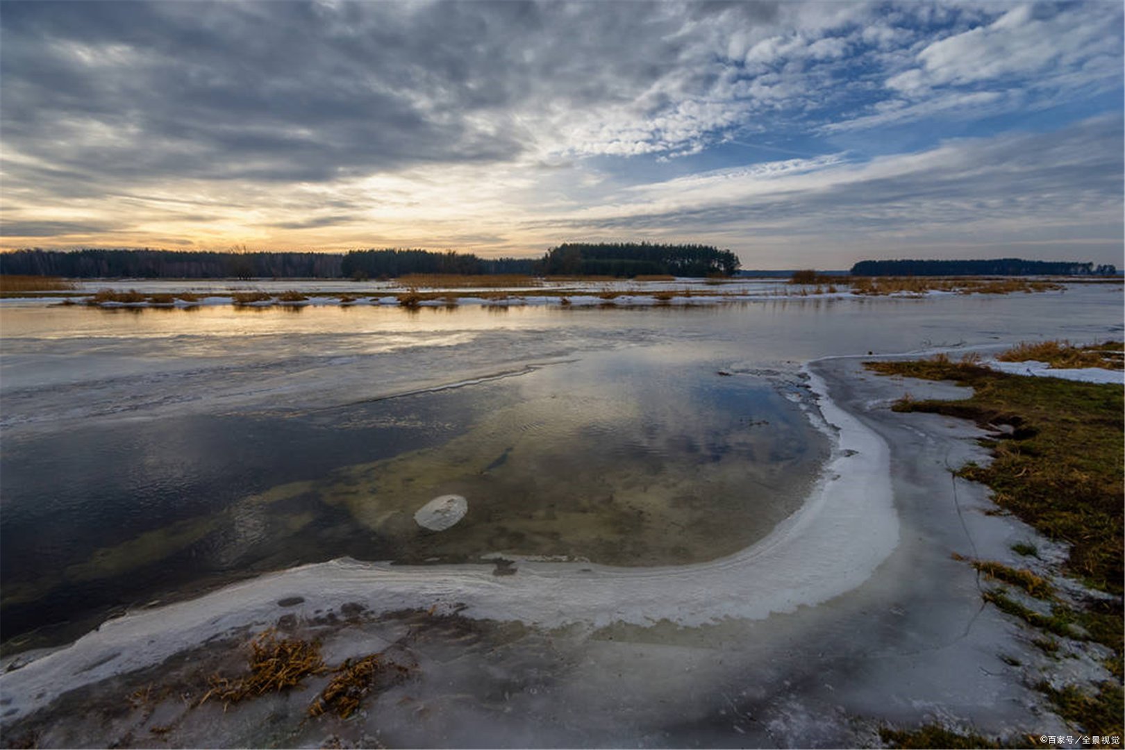 传说中亚马逊森林里的食人鱼,真的会吃人吗?
