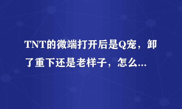 TNT的微端打开后是Q宠，卸了重下还是老样子，怎么回事啊？5555，高手们快来解答啊，而且电脑也没中病毒。