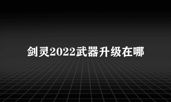 剑灵2022武器升级在哪