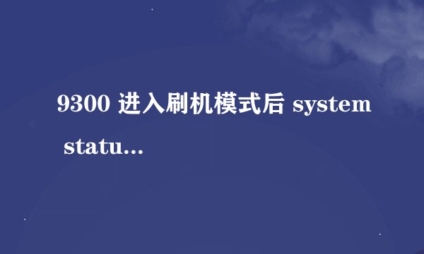 9300 进入刷机模式后 system status： custom 这一行是什么意思？